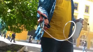 Инжектираха Европейското дърво Стария бряст