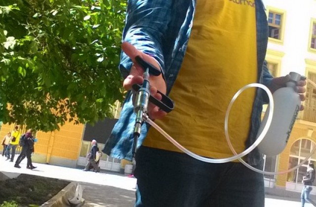 Инжектираха Европейското дърво Стария бряст