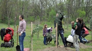 Още 131 дръвчета с имена на деца в димитровградската Алея