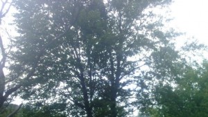 Значителна облачност на много места с валежи от дъжд