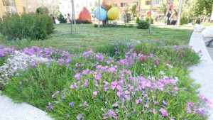 Цветна мозайка ще краси Сливен през лятото