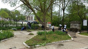 Депутати от ГЕРБ дариха фиданки и цветя на община Каварна