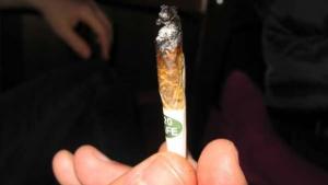 Наркопласьор си докара ефективна присъда с марихуана за 087 лв