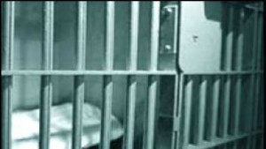 7 г и половина затвор за откраднати два кубика дърва