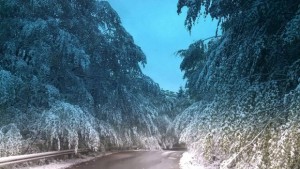 Зимно време в Кюстендилско