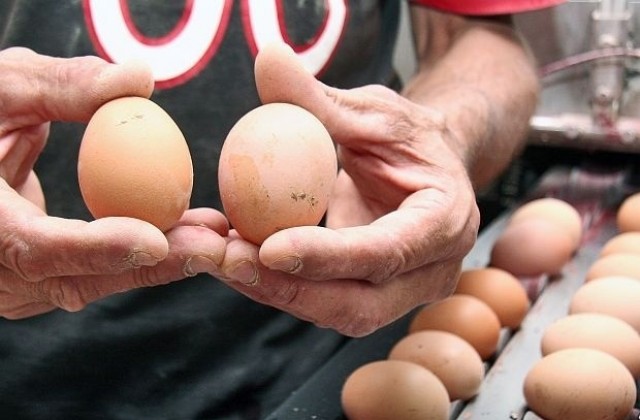 Производителите продават яйцата под себестойността им