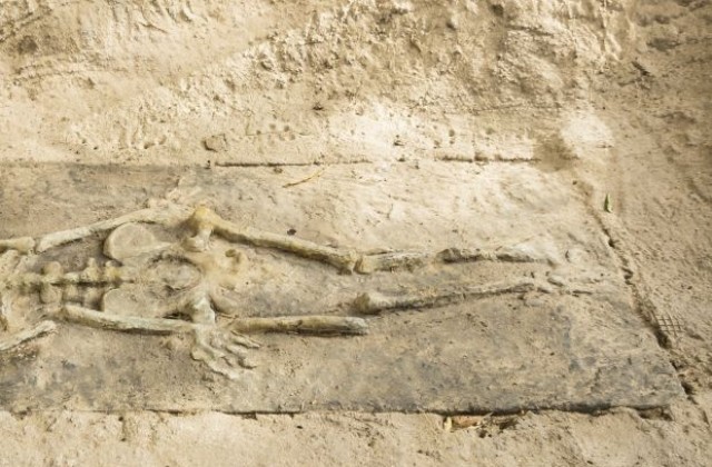 Откриха 4800-годишен скелет на майка, прегърнала нежно бебето си (СНИМКА)