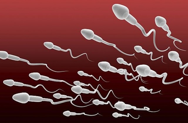 Учени произведоха човешки сперматозоиди от кожни клетки