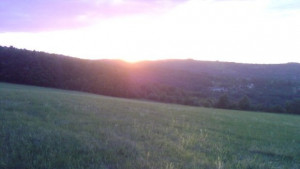 Землищата на селата Мичковци Лесичарка и Велковци ще бъдат обработени