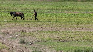 Промяната в изборните регламенти за избирането на кметове в селата