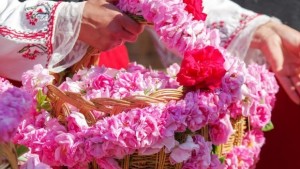 Програма за Празник на розата 2016