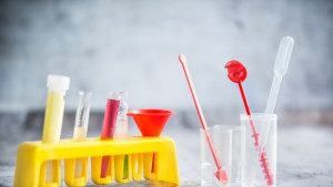 Български учен откри бактерия която спира болестите