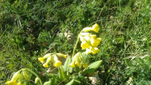 Днес облачността ще бъде предимно значителна