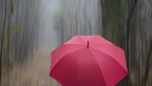 15 л квм валеж в Сливенско