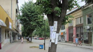 Поставянето на некролози и обяви по дърветата е забранено напомнят