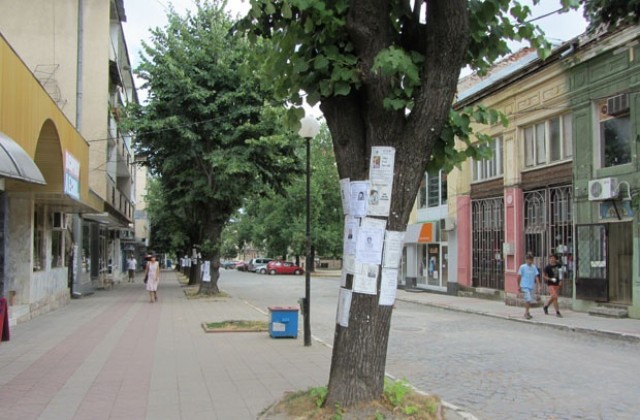 Поставянето на некролози и обяви по дърветата е забранено, напомнят от Общината