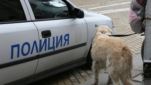 Въоръжени нападнаха и обраха жена в автомобила й
