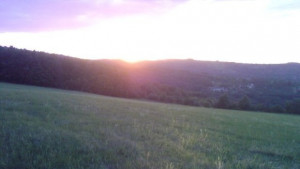 720 декара посеви с пшеница ще бъдат химически обработени чрез