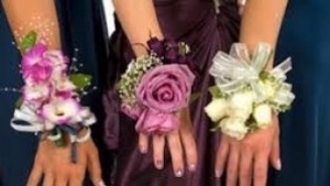 Младежки общински съвет Казанлък стартира кампания Подари мечта