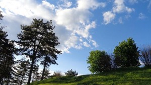 Зелен зелен Гергьовден