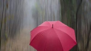 Пролет за седмица после иде нов циклон с дъжд и