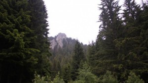 Фотографи ще заснемат Забравените Родопи