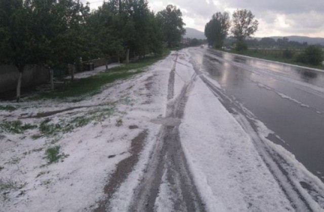 Градушка унищожи реколтата в Тулово