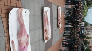 Окървавени хора в тарелки шокираха София СНИМКИ