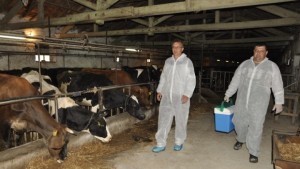 Фермери протестират заради липса на ваксини