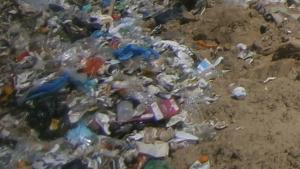 220 проверки през април са направили експертите на РИОСВПловдив