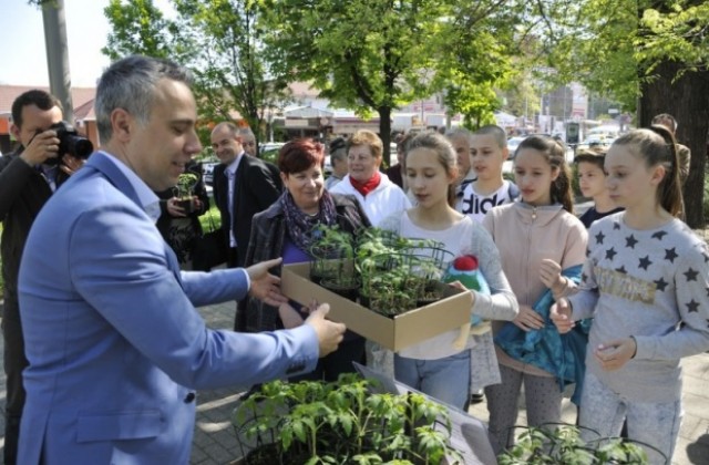 В Кишпещ ще оглеждат български домати