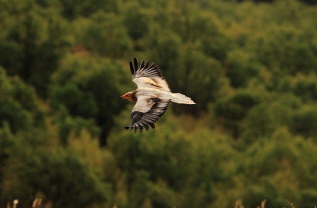Времето на 11 май: Идват и слънчеви часове