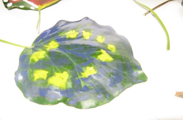 Българското и европейското знаме върху бръшлян