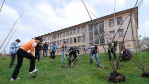 Садят 140 фиданки по Ботевата алея