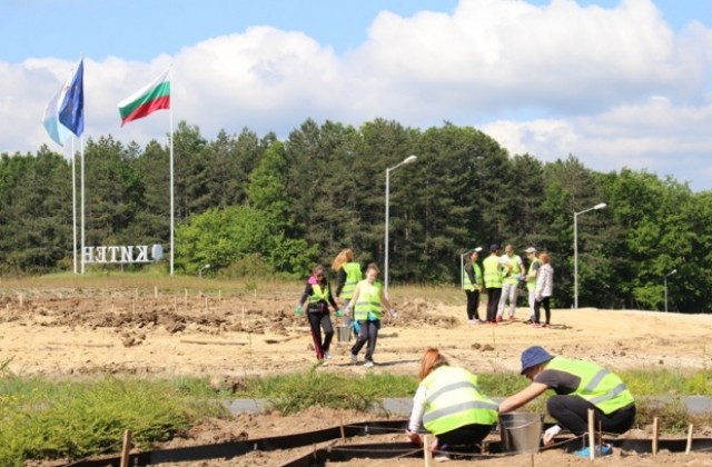 Ученици в помощ на властта
