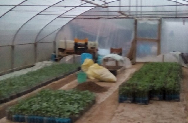 От  Болярово е първата група производители на зеленчуци