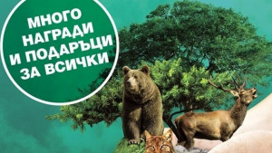 Еколабиринт за малки и големи пристига в Плевен