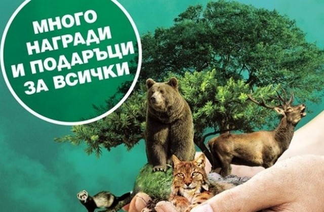 Еколабиринт за малки и големи пристига в Плевен