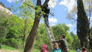 Лесовъди учат деца как да опазват горите