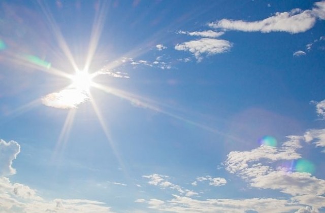 Птиците с по-малки размери заради глобалното затопляне