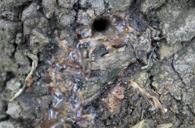 60 000 лева глоби за собственици на имоти в кв. „Бедечка