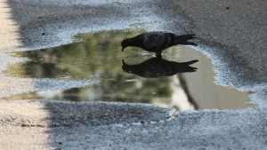Времето на 14 май предимно слънчево на отделни места ще