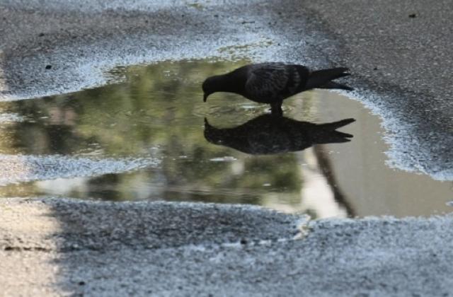 Времето на 14 май: предимно слънчево, на отделни места ще превали