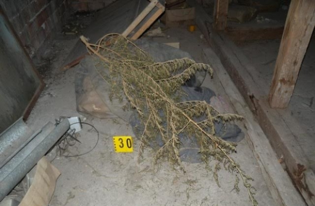 Спипаха свищовлия с наркотични вещества, акцизни стоки и боеприпаси