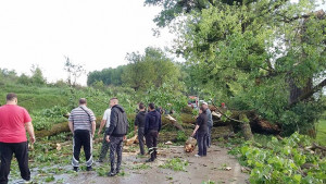 В Голяма вода повикаха неволята местни сами отвориха пътя към