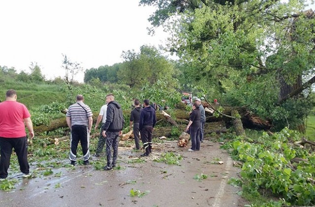 В Голяма вода повикаха неволята, местни сами отвориха пътя към съседно село