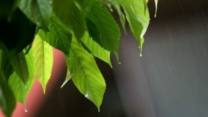 Прониква хладен въздух и температурите започнат да се понижават