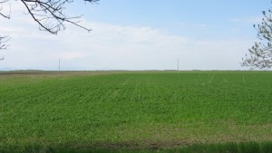 Има пропаднали площи заради градушките