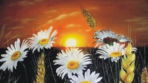 Изложба на Пламен Станчев подредиха в Община Добричка