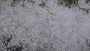 Само плодове и зеленчуци са засегнати от градушката